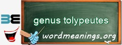 WordMeaning blackboard for genus tolypeutes